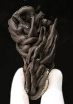 お客様の声　写真