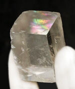 お客様の声　写真