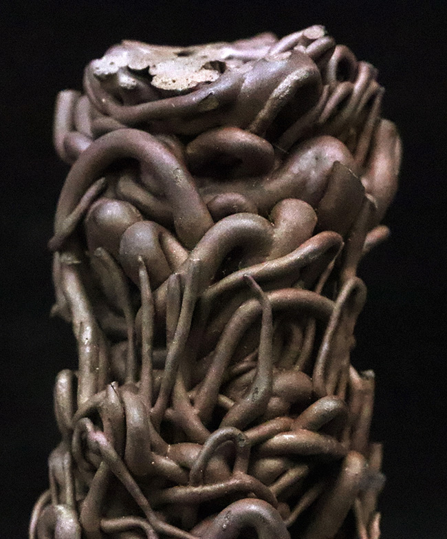 人気！流動の迫力が一目で伝わる立体的な存在感 ハワイ産 縄状溶岩 パホイホイ溶岩（Pahoehoe lava）（その2）