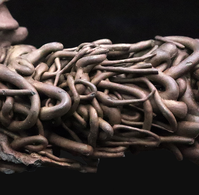 人気！流動の迫力が一目で伝わる立体的な存在感 ハワイ産 縄状溶岩 パホイホイ溶岩（Pahoehoe lava）（その8）