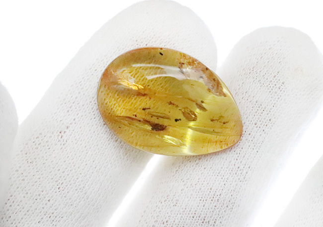 大きい、25ミリ級！多種多様な虫を含み、透明度も高い、非常に美しいバーマイト（Burmite）（その10）