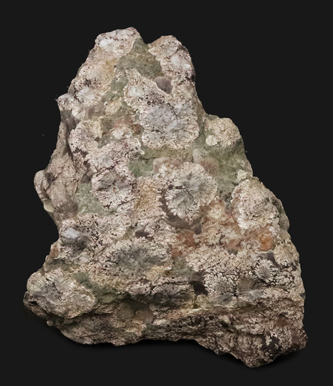 石に咲いた花！国産マニアックシリーズ！島根県大田市産、霰石（あられいし・Aragonite）（その1）