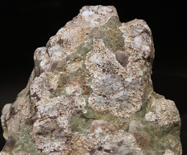 石に咲いた花！国産マニアックシリーズ！島根県大田市産、霰石（あられいし・Aragonite）（その2）