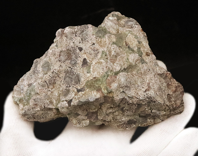 石に咲いた花！国産マニアックシリーズ！島根県大田市産、霰石（あられいし・Aragonite）（その6）