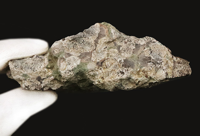 石に咲いた花！国産マニアックシリーズ！島根県大田市産、霰石（あられいし・Aragonite）（その8）