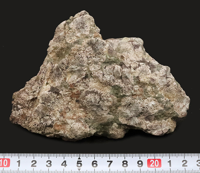 石に咲いた花！国産マニアックシリーズ！島根県大田市産、霰石（あられいし・Aragonite）（その9）