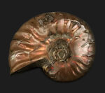 お客様の声　写真