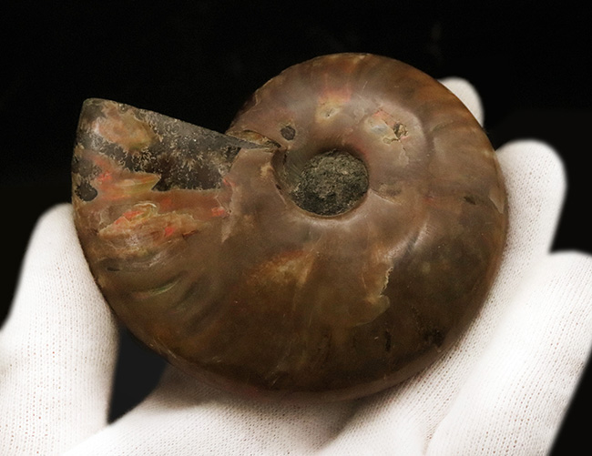 クリアで暗い水色の胎に白の横線紋、紀元0年頃の角柱ローマン・モザイク、類例が掲載 2025.9.15.月曜日 入荷アイテム紹介 ▪️その 18▪️ ⚠️9月