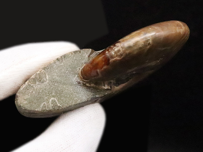 クリアで暗い水色の胎に白の横線紋、紀元0年頃の角柱ローマン・モザイク、類例が掲載 Real life-Street Moment」 📍: Osaka, Japan 1: A dramatic