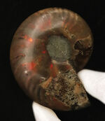 お客様の声　写真