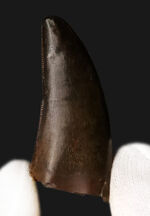 お客様の声　写真