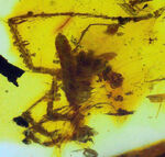 お客様の声　写真