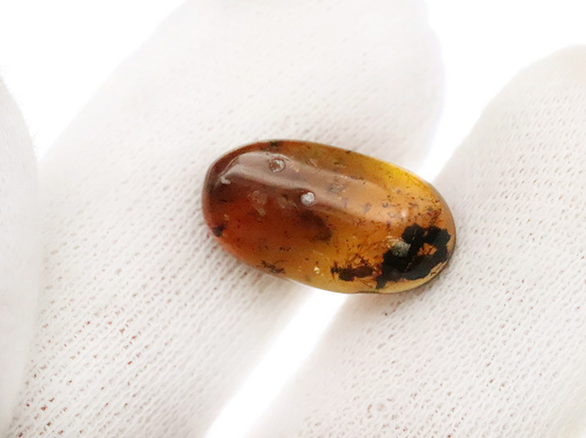 見どころ満載！おびただしい数の内包物を含んだ、赤黒く濃密な色合いのバーマイト（Burmite）（その7）