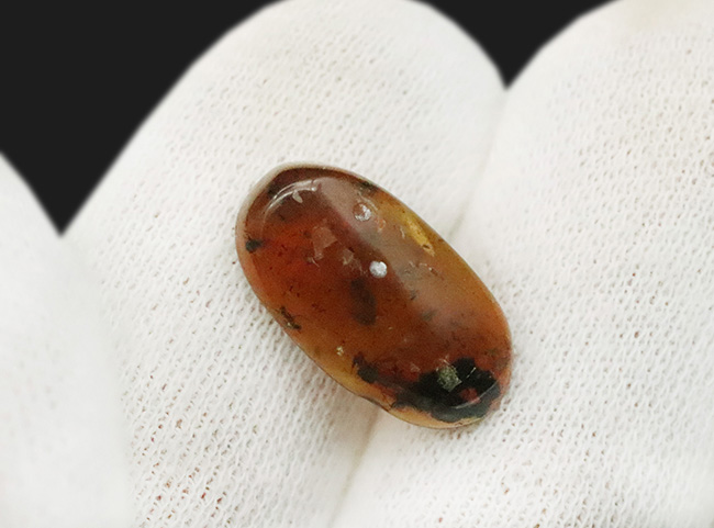 見どころ満載！おびただしい数の内包物を含んだ、赤黒く濃密な色合いのバーマイト（Burmite）（その8）