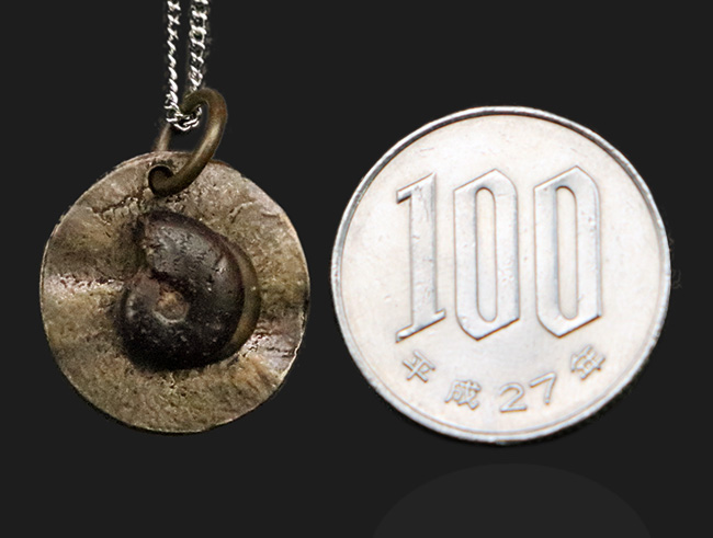モロッコ産アンモナイト（Ammonite）をあしらった、渋さが際立つペンダントトップ（チェーン付き）（その7）