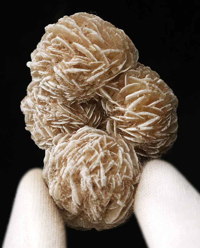 砂を抱き成長したロゼット結晶標本……流通量の少ない米国ニューメキシコ州産 砂漠のバラ（Desert Rose）（その1）