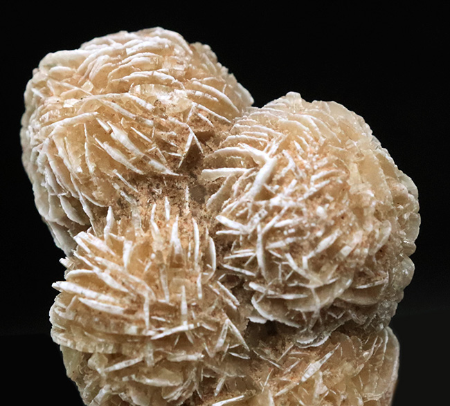 砂を抱き成長したロゼット結晶標本……流通量の少ない米国ニューメキシコ州産 砂漠のバラ（Desert Rose）（その2）