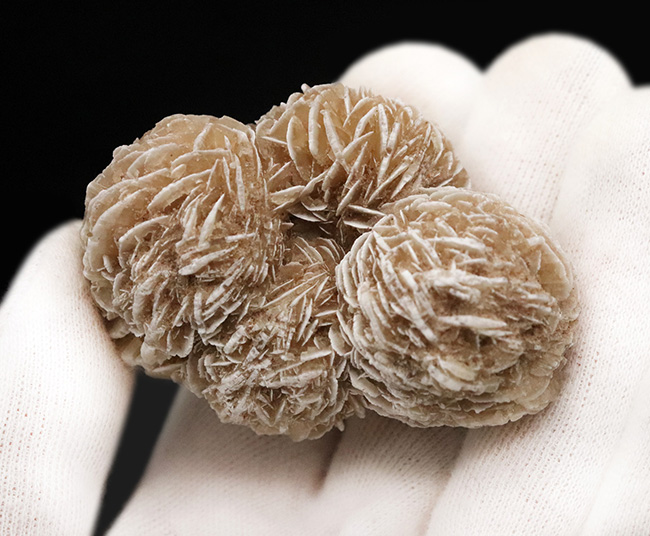 砂を抱き成長したロゼット結晶標本……流通量の少ない米国ニューメキシコ州産 砂漠のバラ（Desert Rose）（その3）