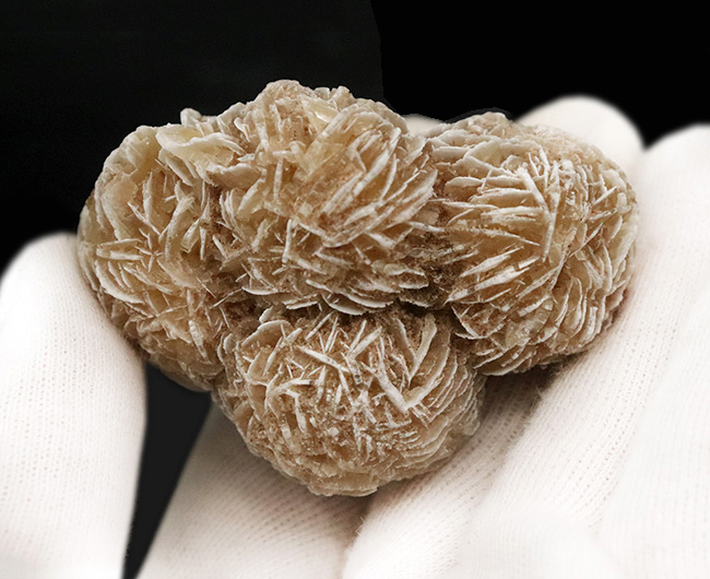 砂を抱き成長したロゼット結晶標本……流通量の少ない米国ニューメキシコ州産 砂漠のバラ（Desert Rose）（その4）