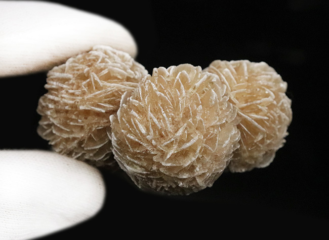 砂を抱き成長したロゼット結晶標本……流通量の少ない米国ニューメキシコ州産 砂漠のバラ（Desert Rose）（その5）