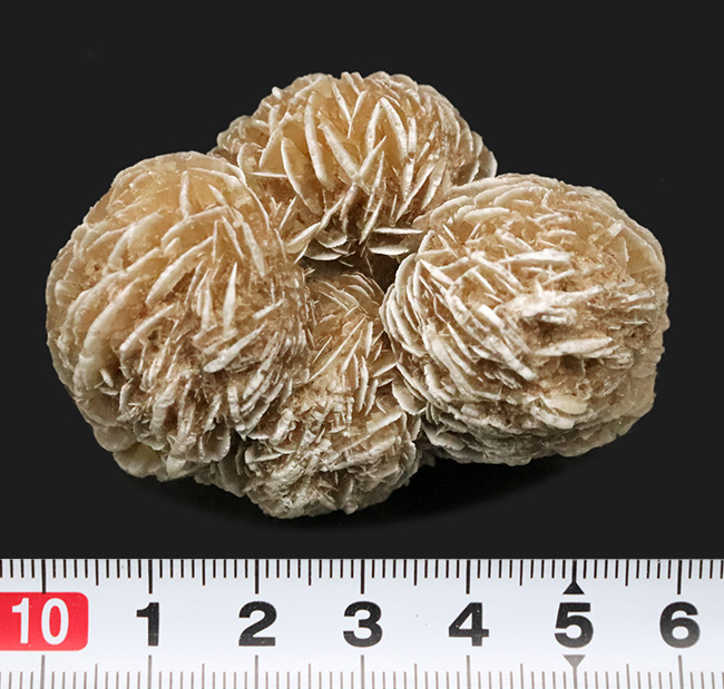 砂を抱き成長したロゼット結晶標本……流通量の少ない米国ニューメキシコ州産 砂漠のバラ（Desert Rose）（その6）