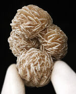 お客様の声　写真