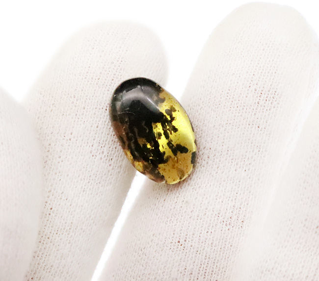 「虎柄」のように見える、個性的なパターンにご注目！豊富な内包物に彩られたミャンマー産琥珀、バーマイト（Burmite）（その5）