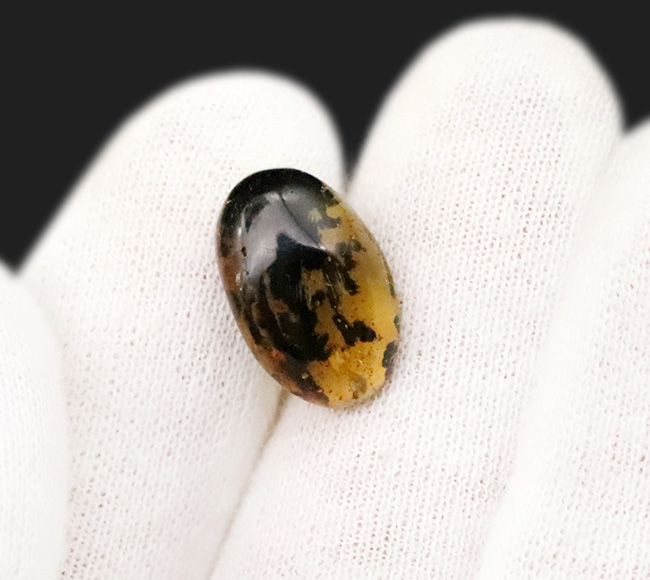 「虎柄」のように見える、個性的なパターンにご注目！豊富な内包物に彩られたミャンマー産琥珀、バーマイト（Burmite）（その6）