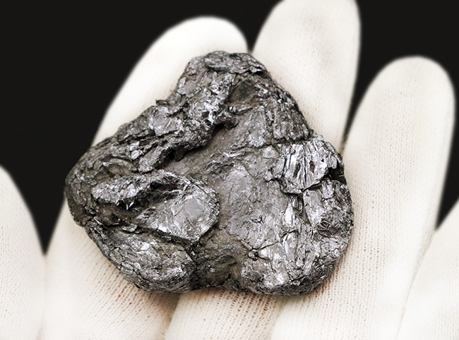 日本の鉱山史の 1 ページを飾る名品。採集年月日【採集年月日：1970年（昭和45年）8月19日】が明確に残る、岐阜県大野郡白川村・平瀬鉱山産モリブデン（輝水鉛鉱）（その2）