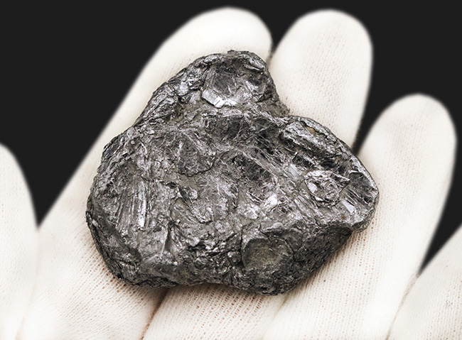 日本の鉱山史の 1 ページを飾る名品。採集年月日【採集年月日：1970年（昭和45年）8月19日】が明確に残る、岐阜県大野郡白川村・平瀬鉱山産モリブデン（輝水鉛鉱）（その4）