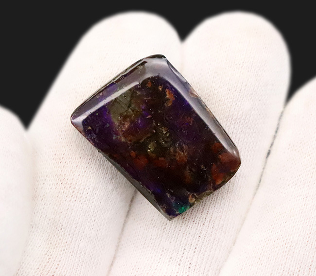 希少な寒色系の輝きを放つ、アンモライト（Ammolite）のピース（その2）