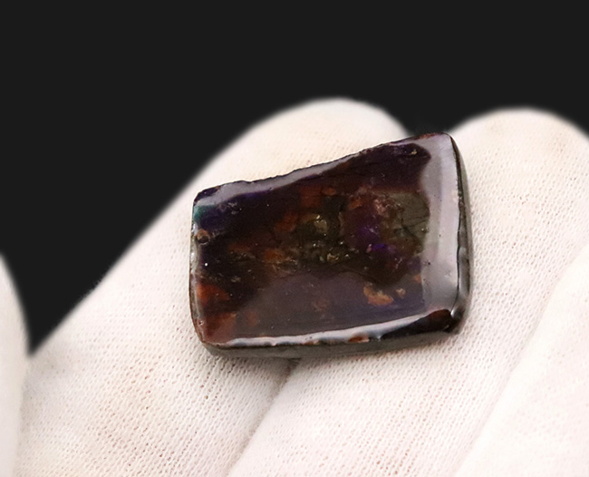 希少な寒色系の輝きを放つ、アンモライト（Ammolite）のピース（その3）