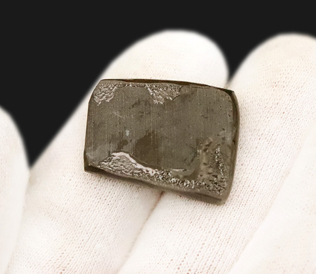 希少な寒色系の輝きを放つ、アンモライト（Ammolite）のピース（その4）