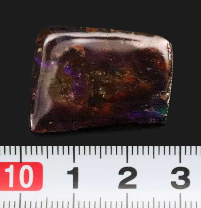 希少な寒色系の輝きを放つ、アンモライト（Ammolite）のピース（その6）