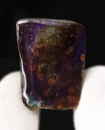 お客様の声　写真