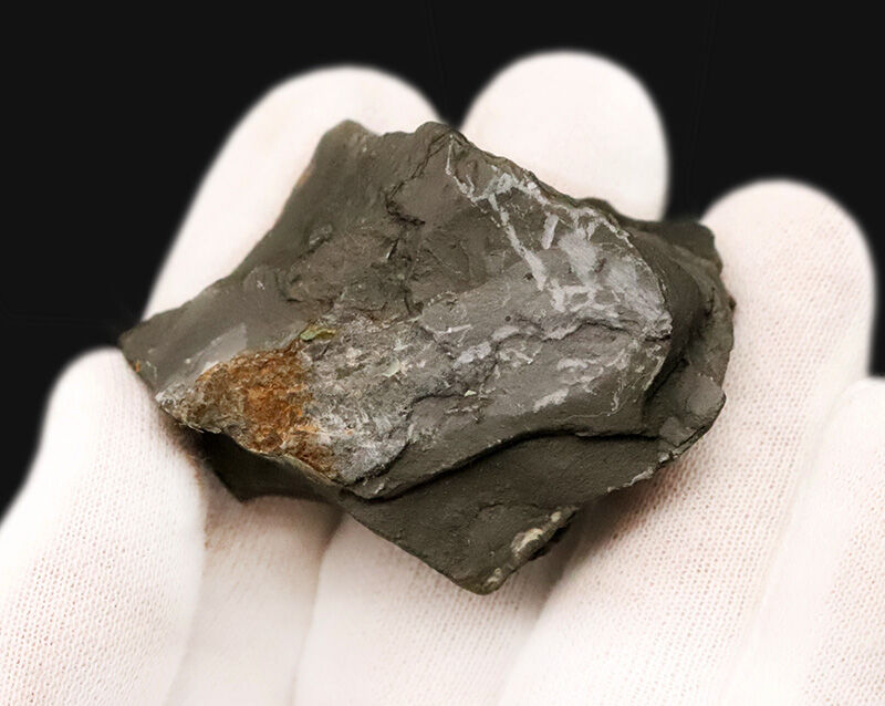 ネイティブアメリカンのお守りにもなった5億年前の三葉虫、エルラシア・キンギ（Elrathia kingii）の母岩付き標本（その4）