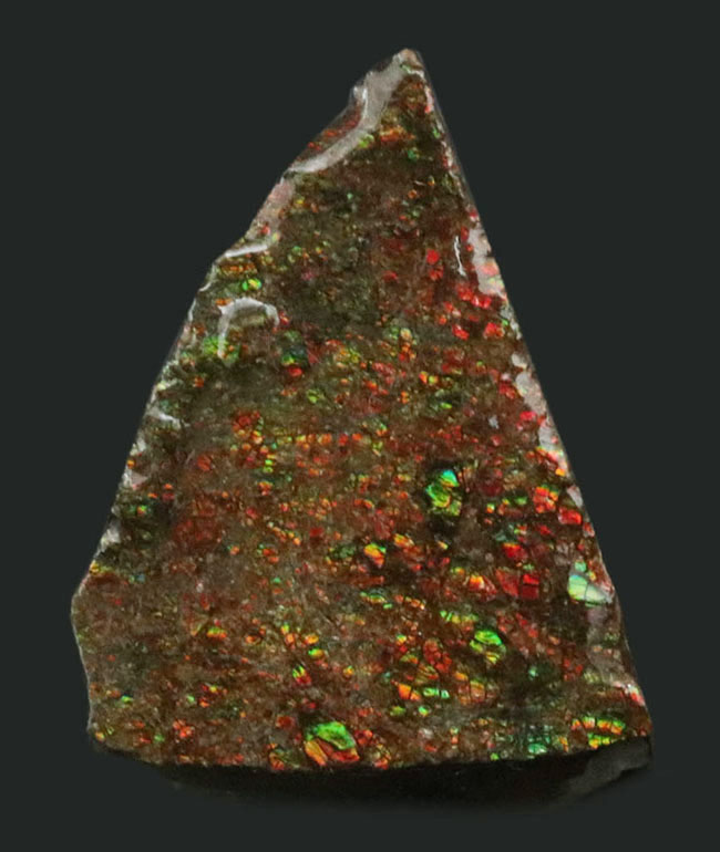 ドラゴンスキン（竜のうろこ）！小サイズながら、きらびやかな遊色を堪能できる、三角形の可愛らしいアンモライト（Ammolite）のピース（その1）