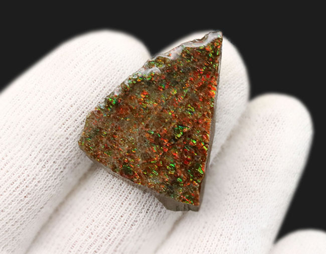 アンモライト　欠片　ドラゴンスキン か*ん様 アンモライト 欠片 ドラゴンスキン