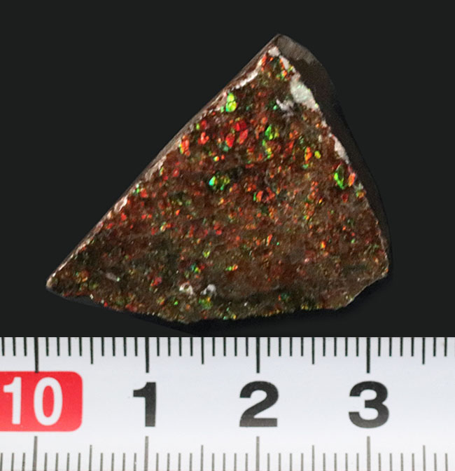ドラゴンスキン（竜のうろこ）！小サイズながら、きらびやかな遊色を堪能できる、三角形の可愛らしいアンモライト（Ammolite）のピース（その5）