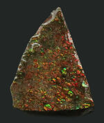 ドラゴンスキン（竜のうろこ）！小サイズながら、きらびやかな遊色を堪能できる、三角形の可愛らしいアンモライト（Ammolite）のピース