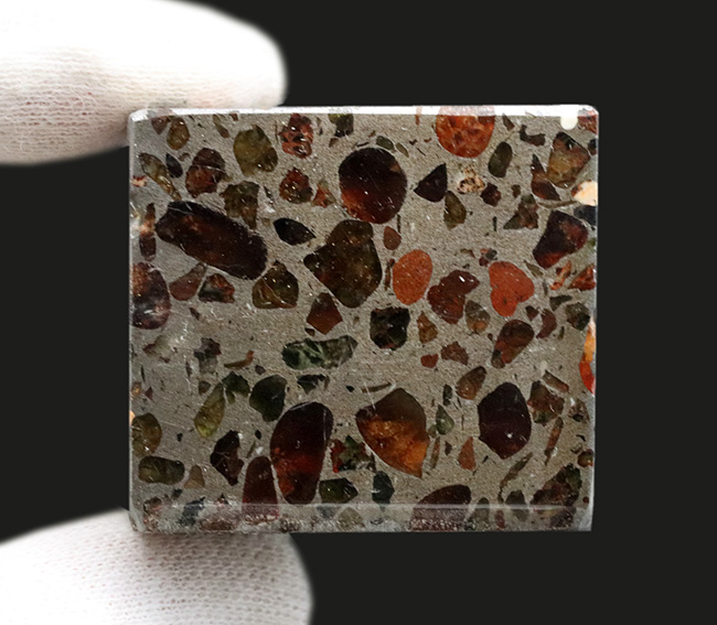 マンドラビラ隕石 鉄隕石 エッチング済 鑑賞ケース入り No.378 世界で最も美しくユニークな隕石、宇宙より飛来したロマンの塊