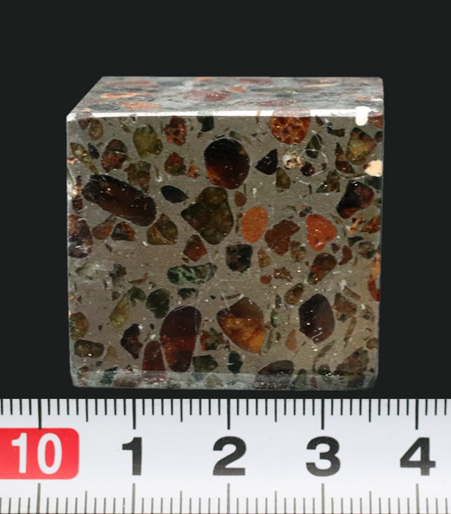 手のひらで感じるプライスレスな体験！人気のキューブ型のパラサイト