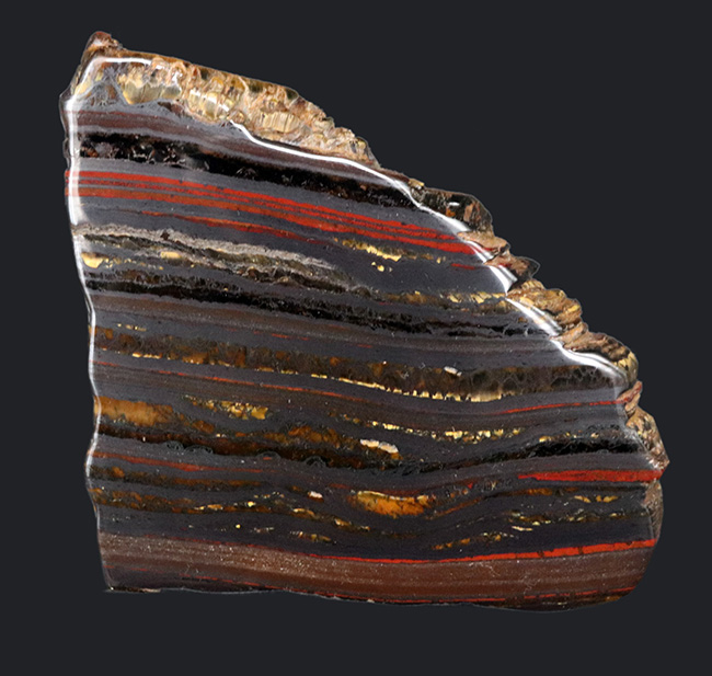 見事な縞状鉄鉱層！なんと２０億年以上前のストロマトライト！西オーストラリア、ハマースリー産（その1）