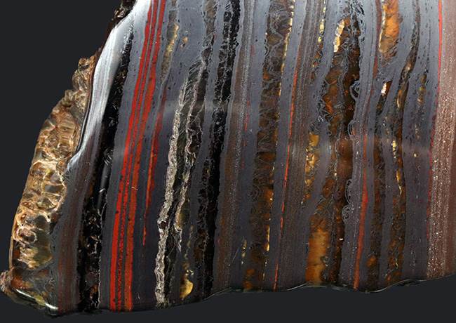 見事な縞状鉄鉱層！なんと２０億年以上前のストロマトライト！西オーストラリア、ハマースリー産（その4）