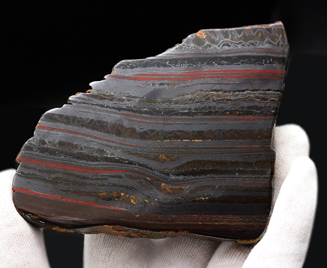 見事な縞状鉄鉱層！なんと２０億年以上前のストロマトライト！西オーストラリア、ハマースリー産（その5）