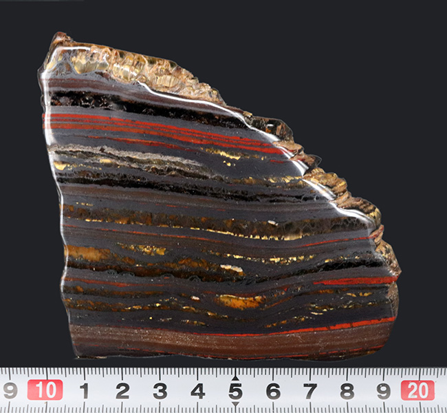 見事な縞状鉄鉱層！なんと２０億年以上前のストロマトライト！西オーストラリア、ハマースリー産（その7）