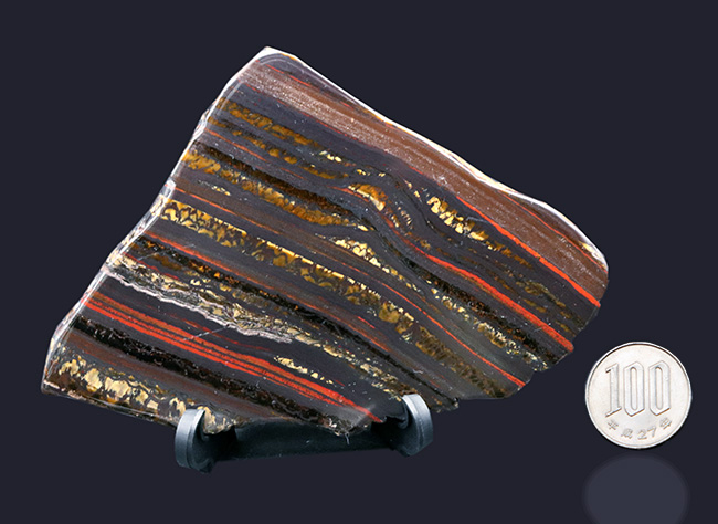見事な縞状鉄鉱層！なんと２０億年以上前のストロマトライト！西オーストラリア、ハマースリー産（その8）