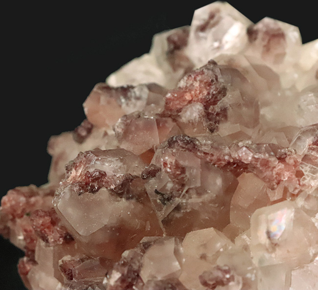 ドロマイト×石英 共生大型標本｜成長の重なりが見える鉱物（その2）