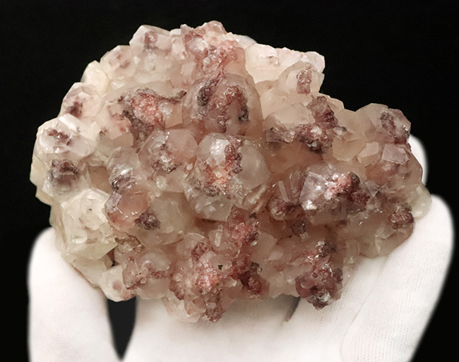 ドロマイト×石英 共生大型標本｜成長の重なりが見える鉱物（その3）