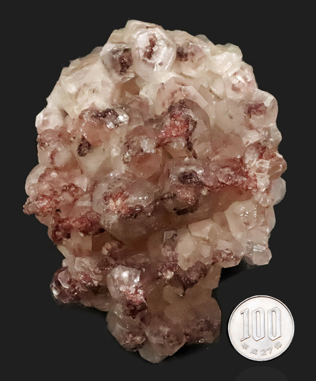 ドロマイト×石英 共生大型標本｜成長の重なりが見える鉱物（その9）